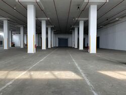 Expo Drive (D16), Warehouse #554260291